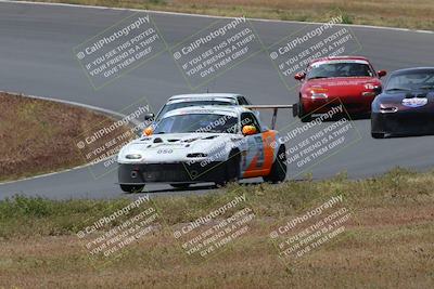 media/May-04-2024-Lucky Dog Racing (Sat) [[d39539b3f3]]/Race Pics/1015am (Turn 2)/